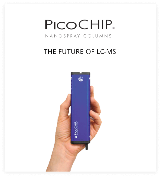 Pico Chip